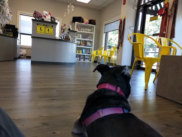 Newton Animal Hospital, A Thrive Pet Healthcare Partner 2