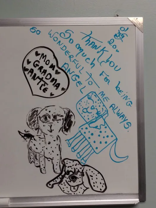Watertown Animal Hospital 3