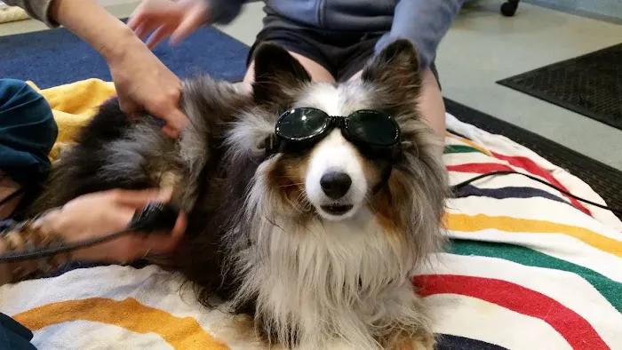 Animotion Animal Rehabilitation 2