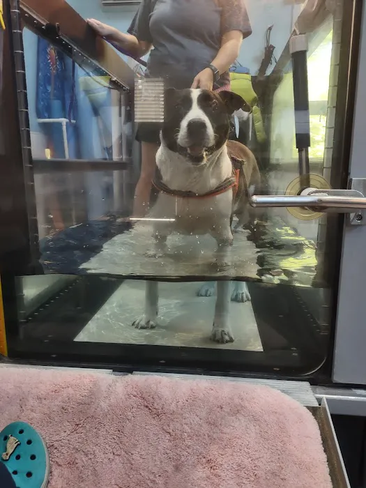 Animotion Animal Rehabilitation 7