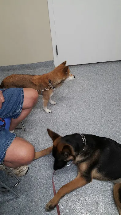VCA Lloyd Animal Hospital 2