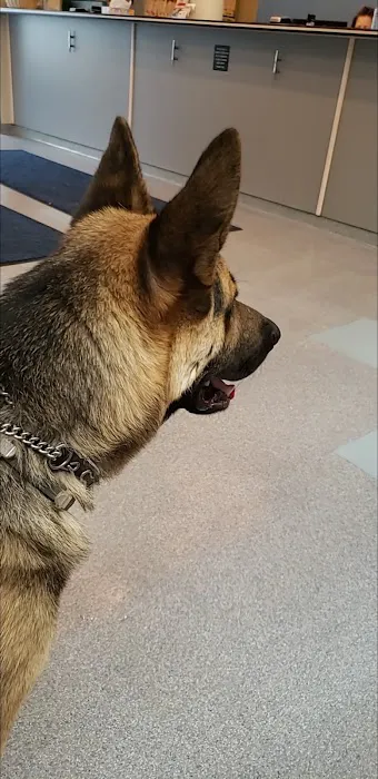 VCA Lloyd Animal Hospital 9