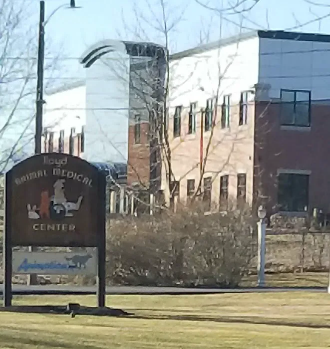 VCA Lloyd Animal Hospital 3
