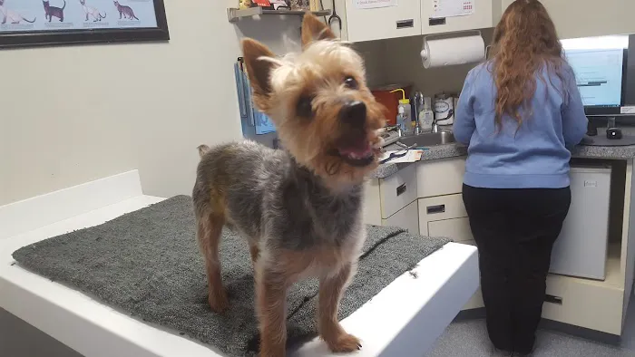 VCA Lloyd Animal Hospital 6