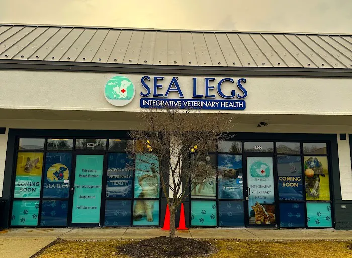 Sea Legs Integrative Veterinary Health 9