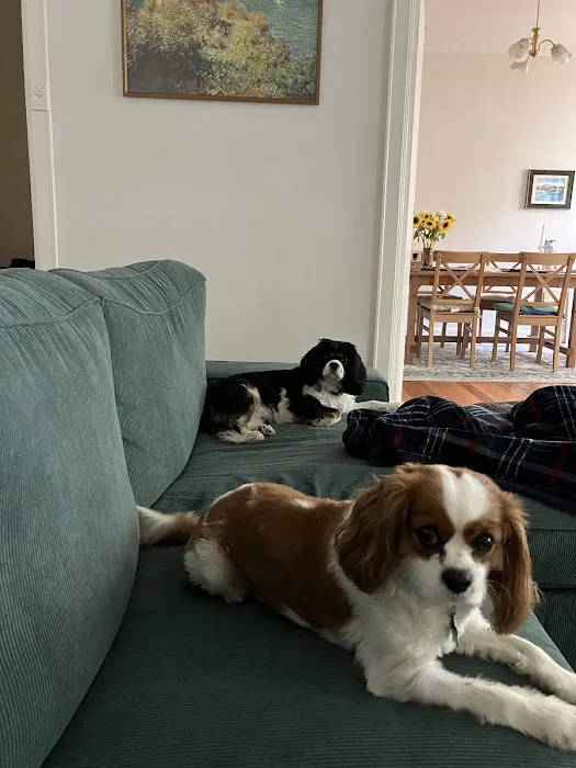 Parkway Veterinary Hospital 7
