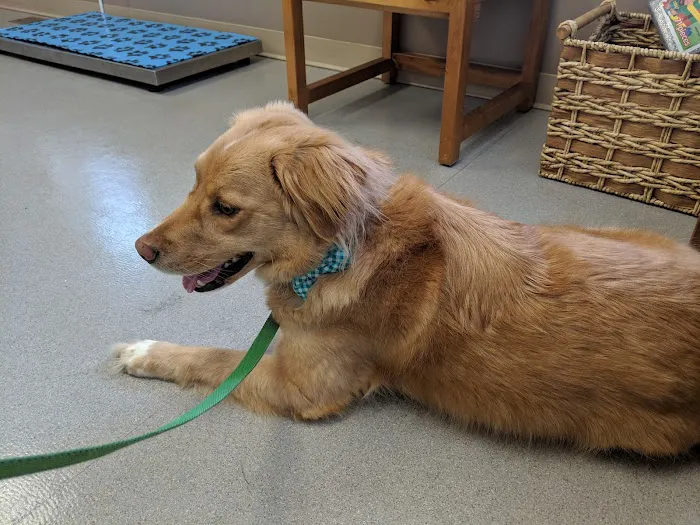 Parkway Veterinary Hospital 1