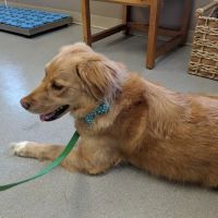 Parkway Veterinary Hospital ico