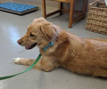 Parkway Veterinary Hospital