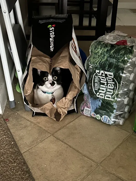 Parkway Veterinary Hospital 4