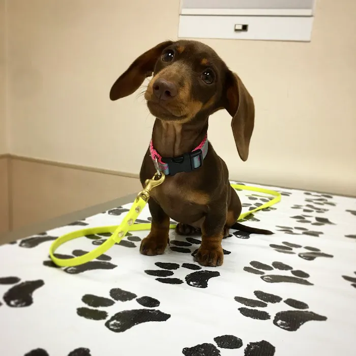 Parkway Veterinary Hospital 2