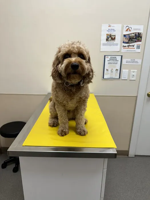 Parkway Veterinary Hospital 8