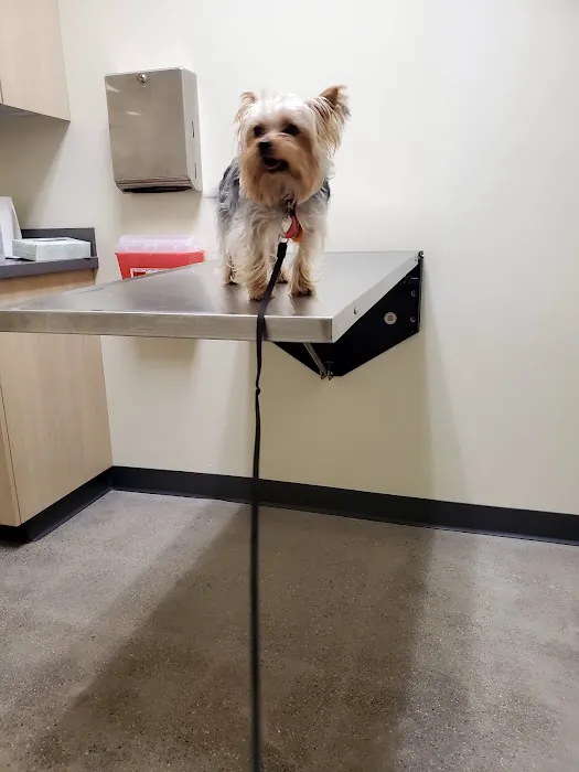 Vetco Total Care Animal Hospital 3