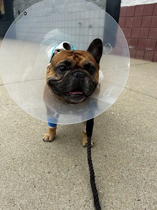 Vetco Total Care Animal Hospital 5