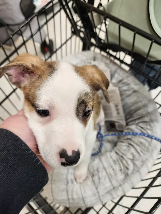 Vetco Total Care Animal Hospital 6