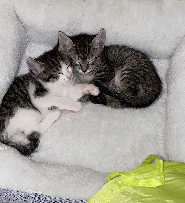 Vetco Total Care Animal Hospital 9