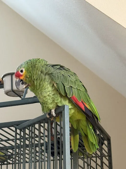 Veterinary Eye Center - Massachusetts 6