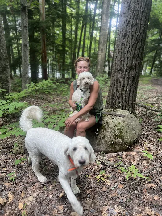 Veterinary Eye Center - Massachusetts 4
