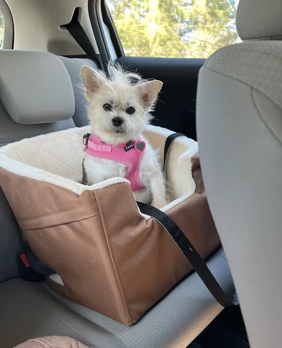 Veterinary Eye Center - Massachusetts 7