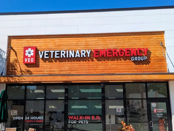 Veterinary Emergency Group 10