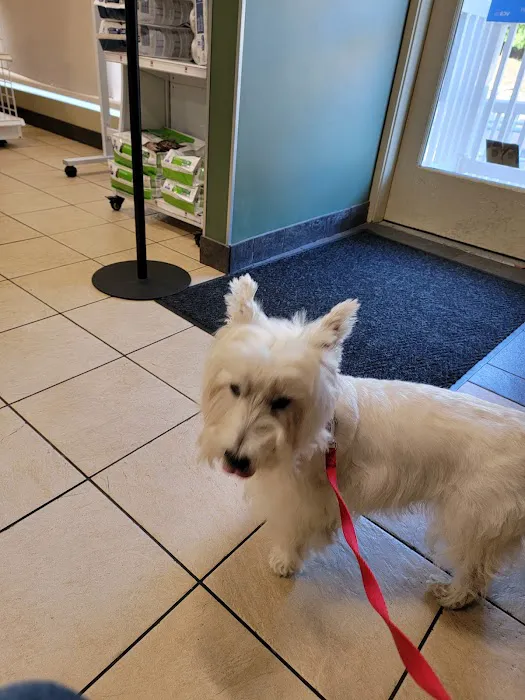 VCA Rotherwood Animal Hospital 2