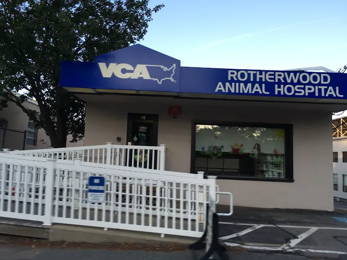 VCA Rotherwood Animal Hospital 1