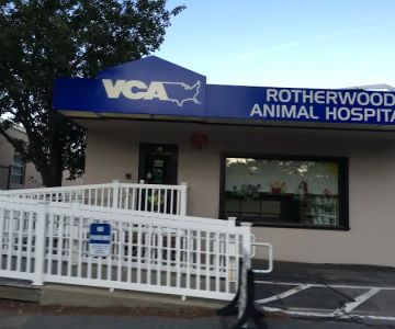 VCA Rotherwood Animal Hospital