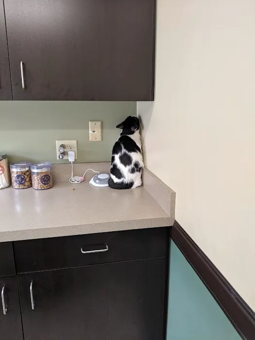 VCA Rotherwood Animal Hospital 5