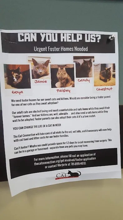 VCA Rotherwood Animal Hospital 3