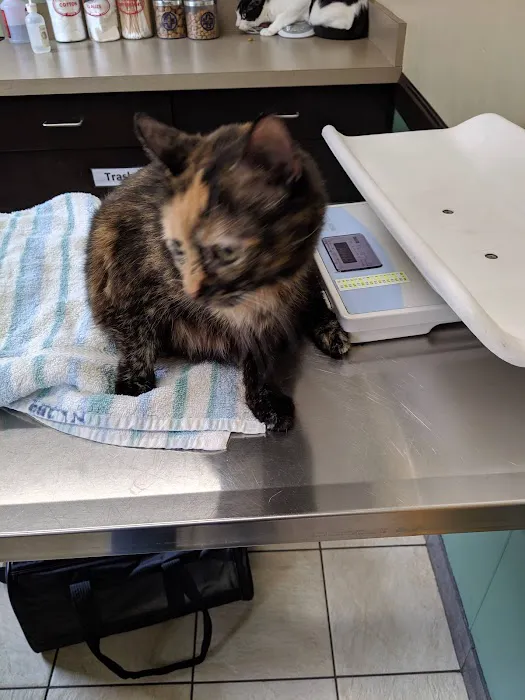 VCA Rotherwood Animal Hospital 6