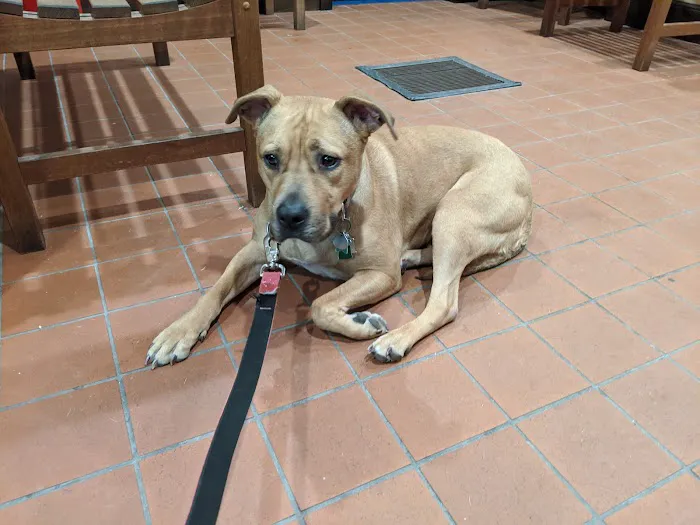 West Roxbury Animal Hospital 3
