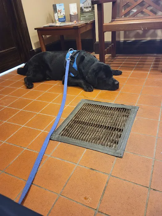 West Roxbury Animal Hospital 1
