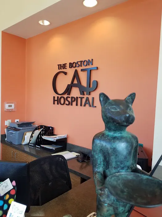 The Boston Cat Hospital 4