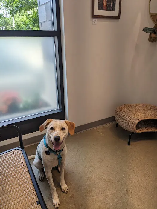 METROVET Veterinary Clinic 2