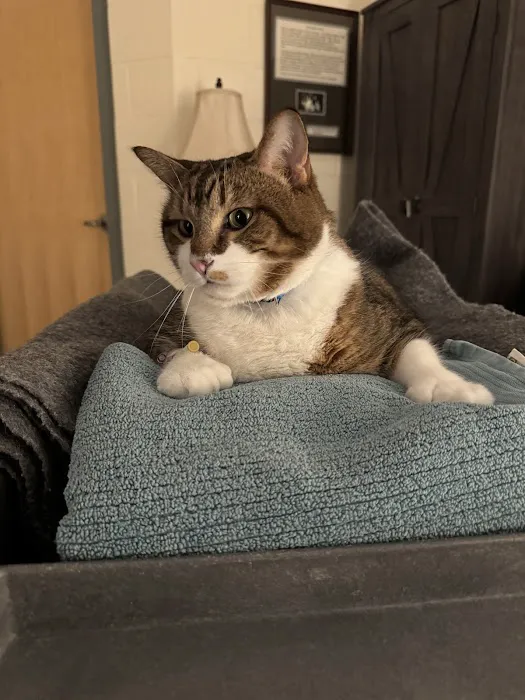 Veterinary Urgent Care Center - Easton 1
