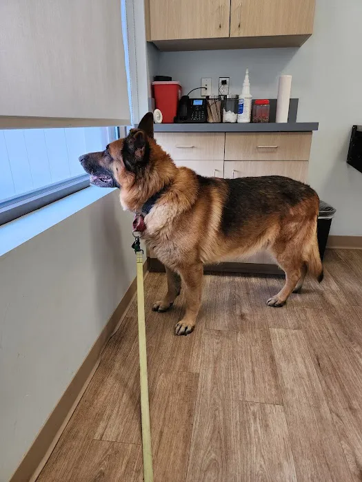 Veterinary Urgent Care Center - Easton 3