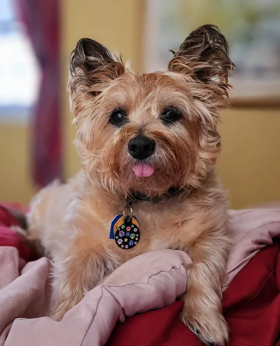 Veterinary Urgent Care Center - Easton 2