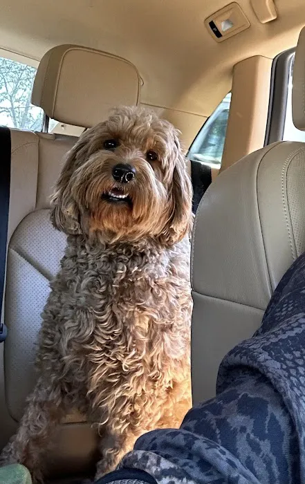 Veterinary Urgent Care Center - Easton 4