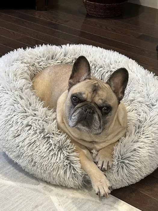 Veterinary Urgent Care Center - Easton 8