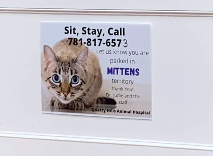 Quarry Hills Animal Hospital 10