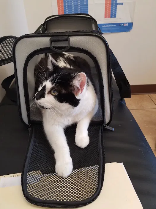 Quarry Hills Animal Hospital 5