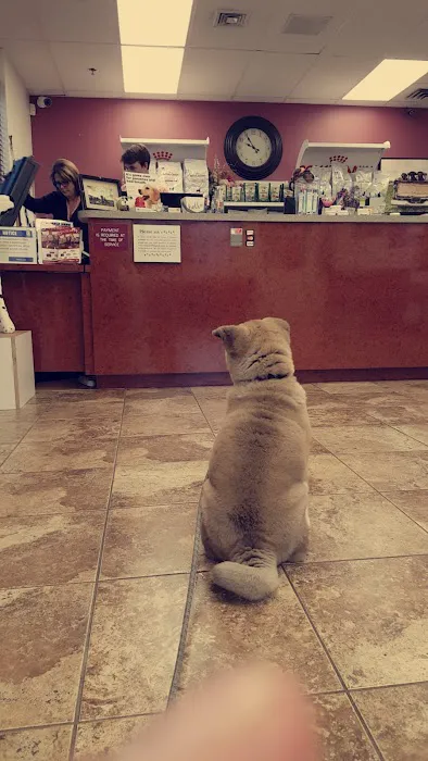 Quarry Hills Animal Hospital 9