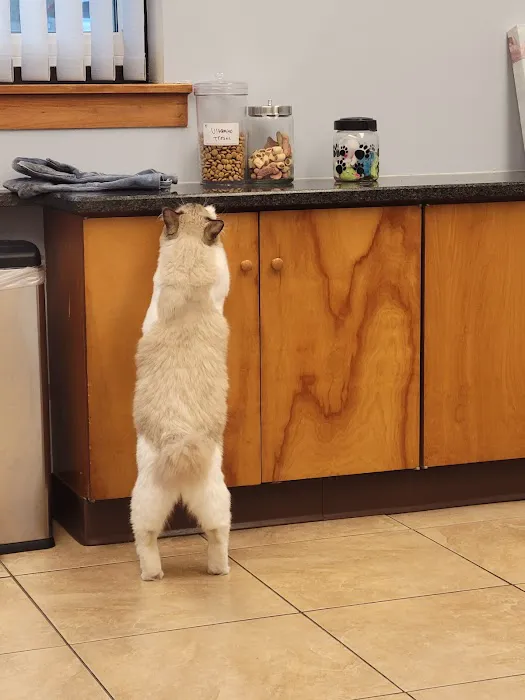 Quarry Hills Animal Hospital 1