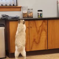 Quarry Hills Animal Hospital ico