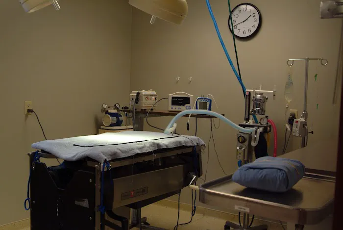Randolph Animal Hospital 8
