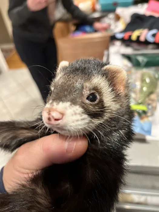 Randolph Animal Hospital 5