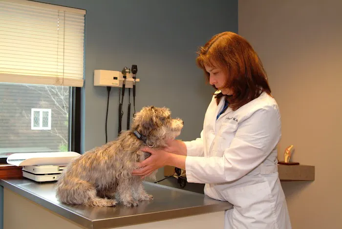 Randolph Animal Hospital 4