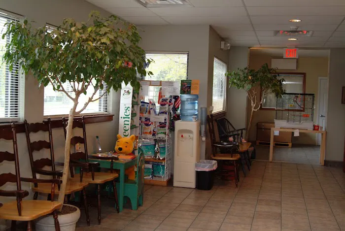 Randolph Animal Hospital 10