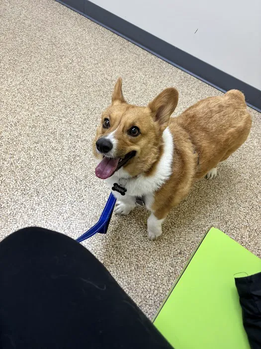 Marion Animal Hospital 2