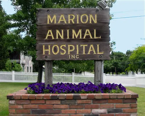Marion Animal Hospital 3
